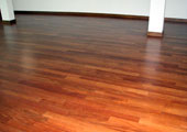 Burmese Iron Wood